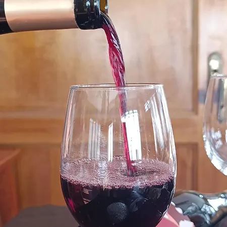 Neros Casa de hóspedes 3*