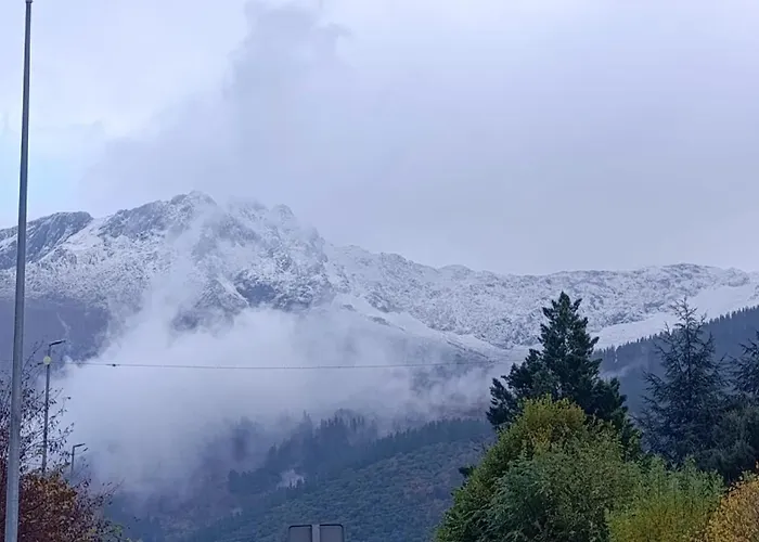 Neros Pensionat Ojedo